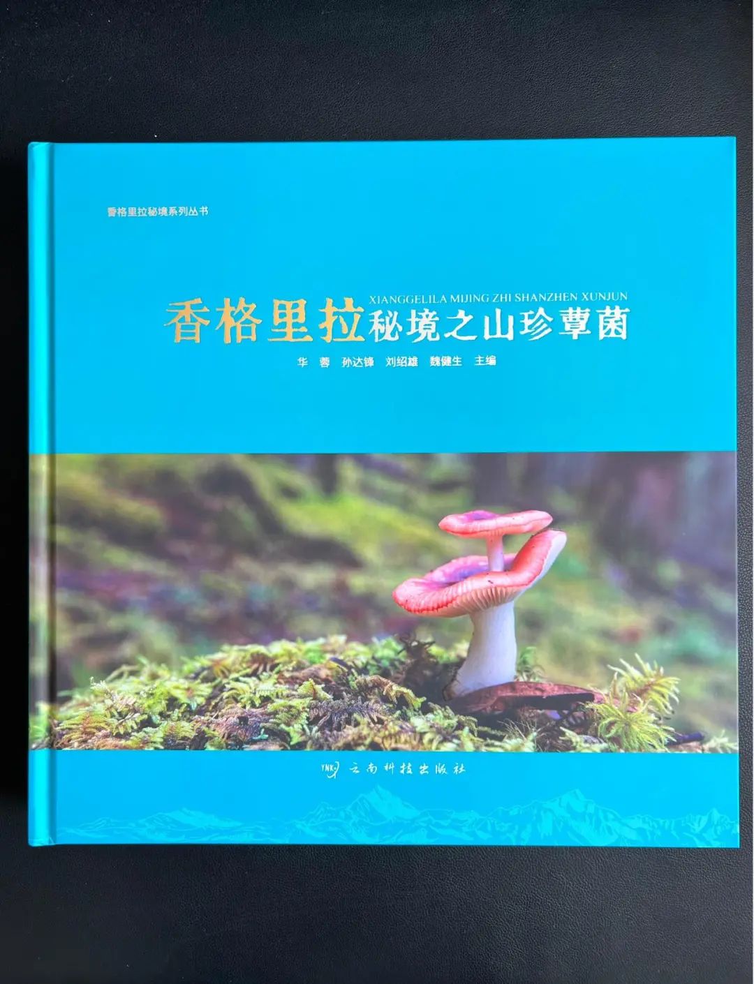 图片